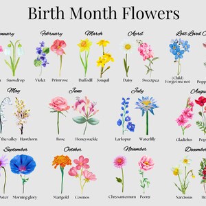 A chart titled Birth Month Flowers displays illustrated flowers for each month: January to December, plus a Lost Loved One section. Each month lists corresponding flower types like Carnation, Violet, Daffodil, Rose, and others.