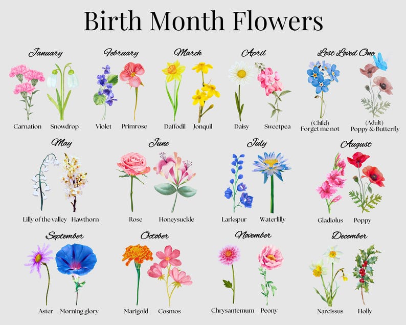 A chart titled Birth Month Flowers displays illustrated flowers for each month: January to December, plus a Lost Loved One section. Each month lists corresponding flower types like Carnation, Violet, Daffodil, Rose, and others.