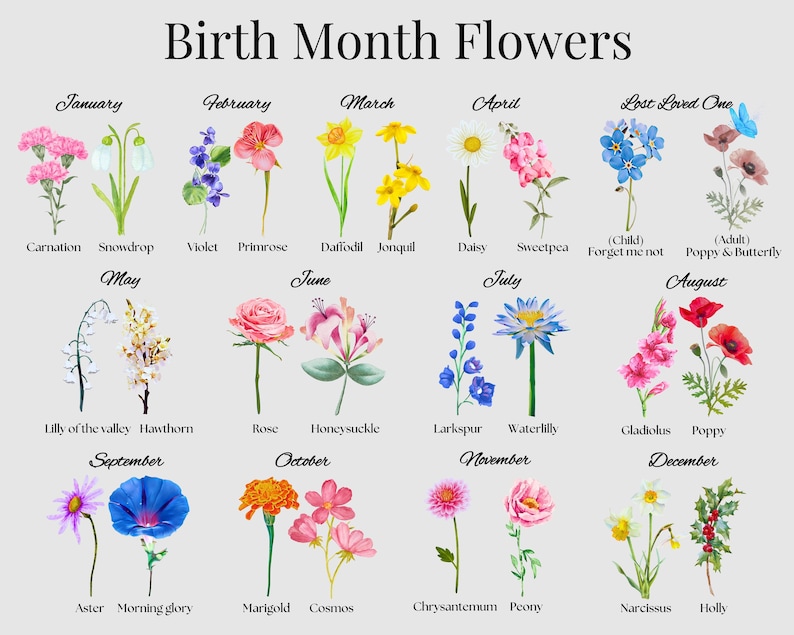 A chart titled Birth Month Flowers displays illustrated flowers for each month: January to December, plus a Lost Loved One section. Each month lists corresponding flower types like Carnation, Violet, Daffodil, Rose, and others.