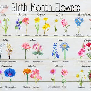 A chart titled 24 Birth Flowers featuring illustrations of flowers associated with each month. Includes two flowers per month plus one for a Lost Loved One. Each flower is labeled with its name.