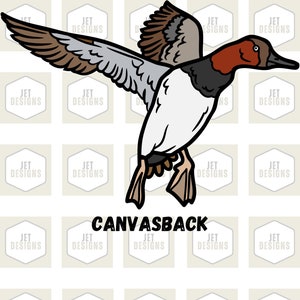 Canvasback Duck SVG, Duck SVG, Duck Hunting svg, hunting svg, duck species svg, farm animal svg, animal svg, bird svg, svg for cricut