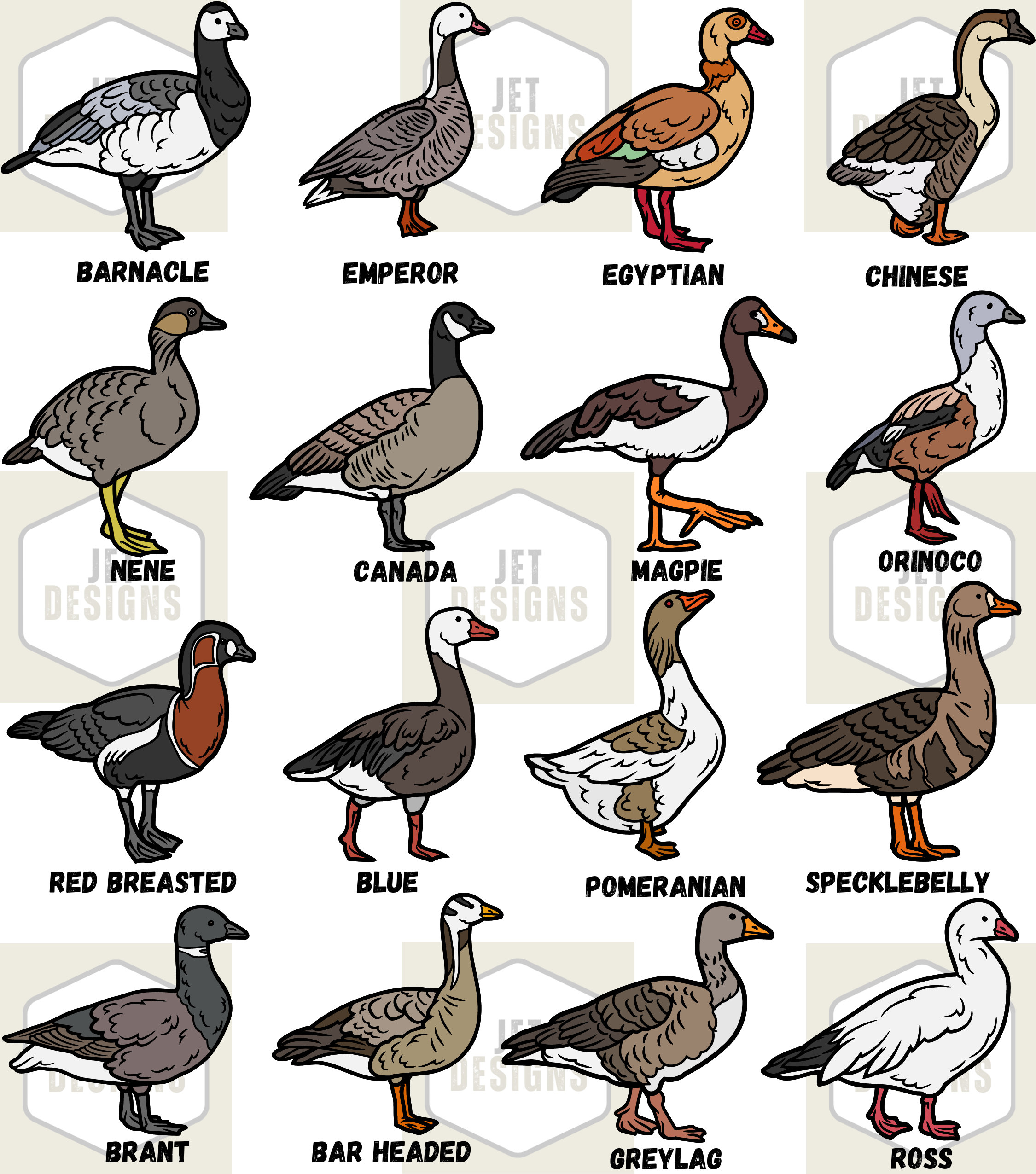 Pastel Paint Goose – Speckle Bellies