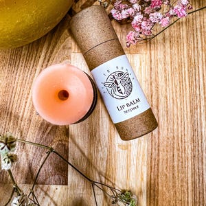 Bálsamo labial de cera de abejas orgánico Bálsamo labial natural Sensible al pH Bálsamo labial ecológico hecho a mano en tubo de papel