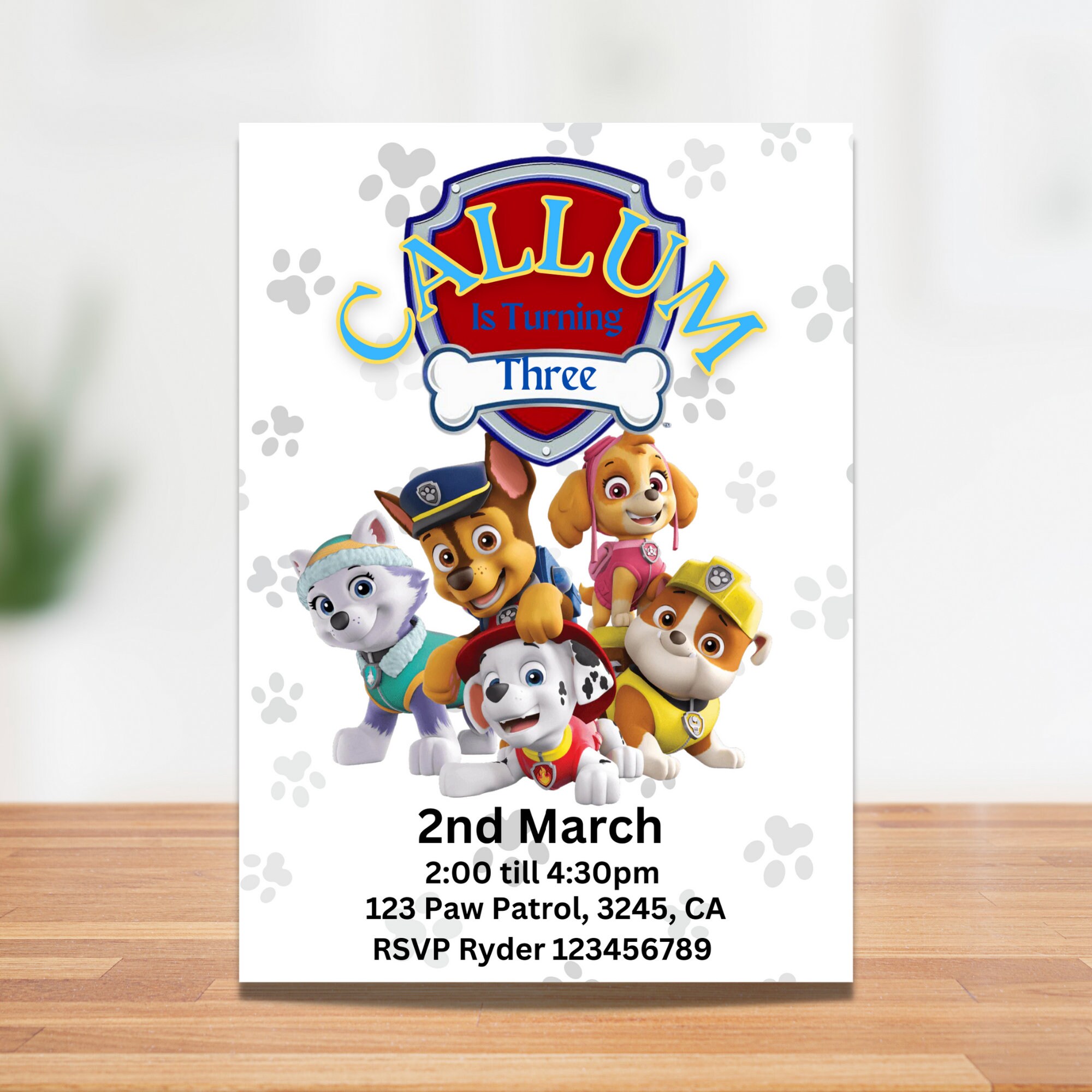 Paw Patrol Geburtstag | lupon.gov.ph