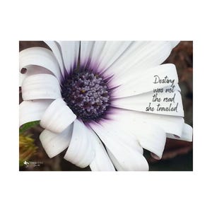 Destiny was not the road she traveled - photo poster by Sonnette