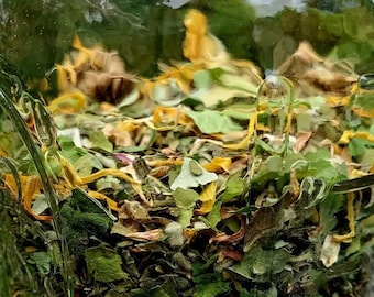 Degunk Detox Tea, Organic Herbal Tea, Detoxification support