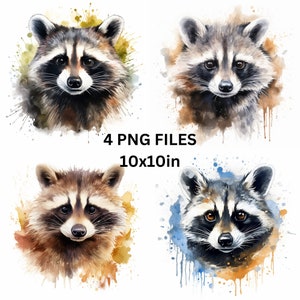 Raccoon Clipart, Raccoon Wall Art, Raccoon Watercolor, Digital Download PNG