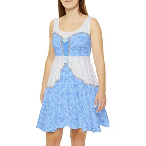 Glass Slipper Princess Dress