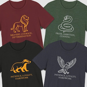 Wizarding School House T-Shirt, HP House Shirt, Universal Vacation T-Shirt, Wizard World Gift, Matching Wizard Houses Shirt
