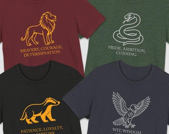 Wizarding School House T-Shirt: HP Inspired Universal Vacation Shirt