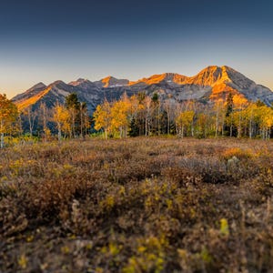 Autumn Sunrise - Paper, Canvas or Metal prints