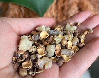 Mahaleb Frankincense Resin Incense Mix: Natural Organic Turkish Incense