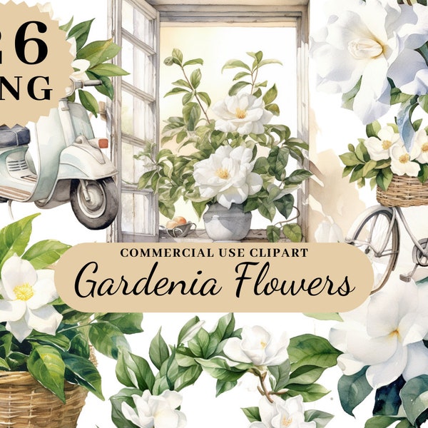 26 PNG Watercolor Gardenia Clipart, Wedding Clipart, Commercial Use, Flowers Clipar, Flowers, Floral Bouquet, Instant Download, Spring