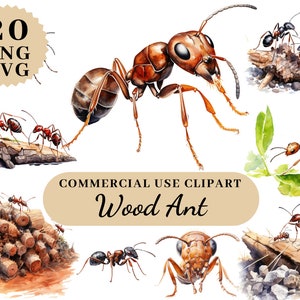 Clipart Ant Wood, Pend Ant, Printable Ants, Watercolor Ants, Cutout Ants, Digital Ant, Digitaldownload Clipart, Watercolor Clipart Ants
