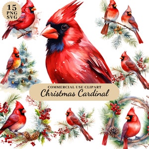 Acuarela Navidad Cardenal Clipart, Decoraciones de Navidad Clipart, Navidad Muñeco de Nieve Clipart, Decoración de Navidad, Navidad Cardenal SVG, Fabricación de tarjetas
