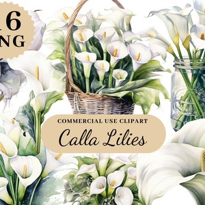 16 PNG clipart de lírios de calla aquarela, clipart de casamento, clipart floral, guirlandas e molduras florais de lírio de primavera, buquê floral, download