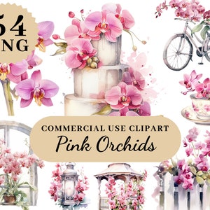 Imágenes Prediseñadas de orquídeas rosas, imágenes prediseñadas de aniversario, flores de Provenza, patrón floral de fondo de pantalla, imágenes prediseñadas de flores, flores, PNG de boda, flor de boda