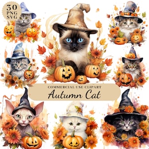 Acuarela otoño gato calabaza flores clipart, acogedor conjunto de imágenes prediseñadas de otoño, retrato de acuarela de gatos, imágenes prediseñadas de aromas de otoño, PNG transparente SVG