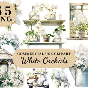 Imágenes prediseñadas de acuarela de jardín de orquídeas blancas, imágenes prediseñadas de aniversario, flores de Provenza, imágenes prediseñadas de orquídeas blancas, imágenes prediseñadas de flores, flores, PNG de boda