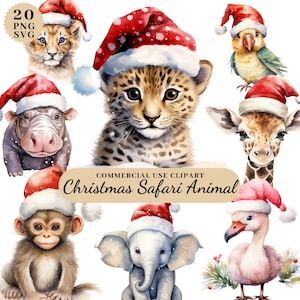 Aquarel Kerst Safari Animal Clipart, Jungle Safari Kerst Clipart, Kerstversiering Clipart, Kerst Baby Safari Animal PNG