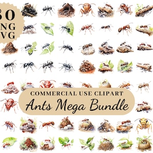 Clipart Ant Mega Clipart bundel, Pend Ant, afdrukbare mieren, aquarel mieren, knipsel mieren, Digitaldownload clipart, aquarel clipart mieren