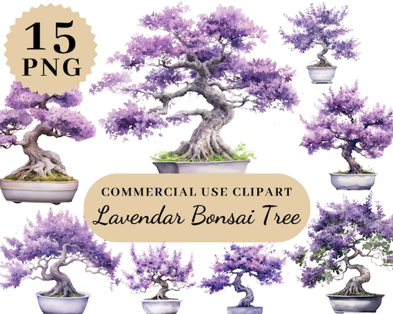 15 PNGs Aquarell Lavendel Bonsai Baum Clipart, Provence Blumen, Schne  Bume Blumen Clipart, Hochzeit PNG Clipart, Hochzeit Blume - Etsy.de