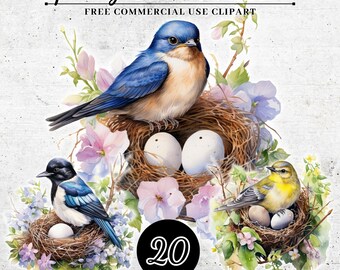 Watercolor Spring Bird Clipart, Digital Birds Cliparts Bundle, Spring Decoration Clipart, Animal Nursery Clipart, Transparent PNG SVG