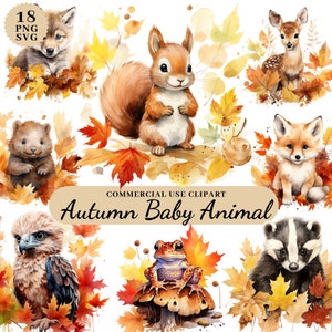 Acuarela Otoño Bosque Animal Clipart PNG SVG Otoño Clipart Pared Arte Digital Descarga Instantánea Para Uso Comercial Ciervo Lobo Zorro Conejo