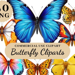 50 Clipart De Borboleta PNG Pacote De Borboleta Ilustração Borboleta Floral Borboleta Cartão Berçário Clipart Chá De Bebê Insetos PNG