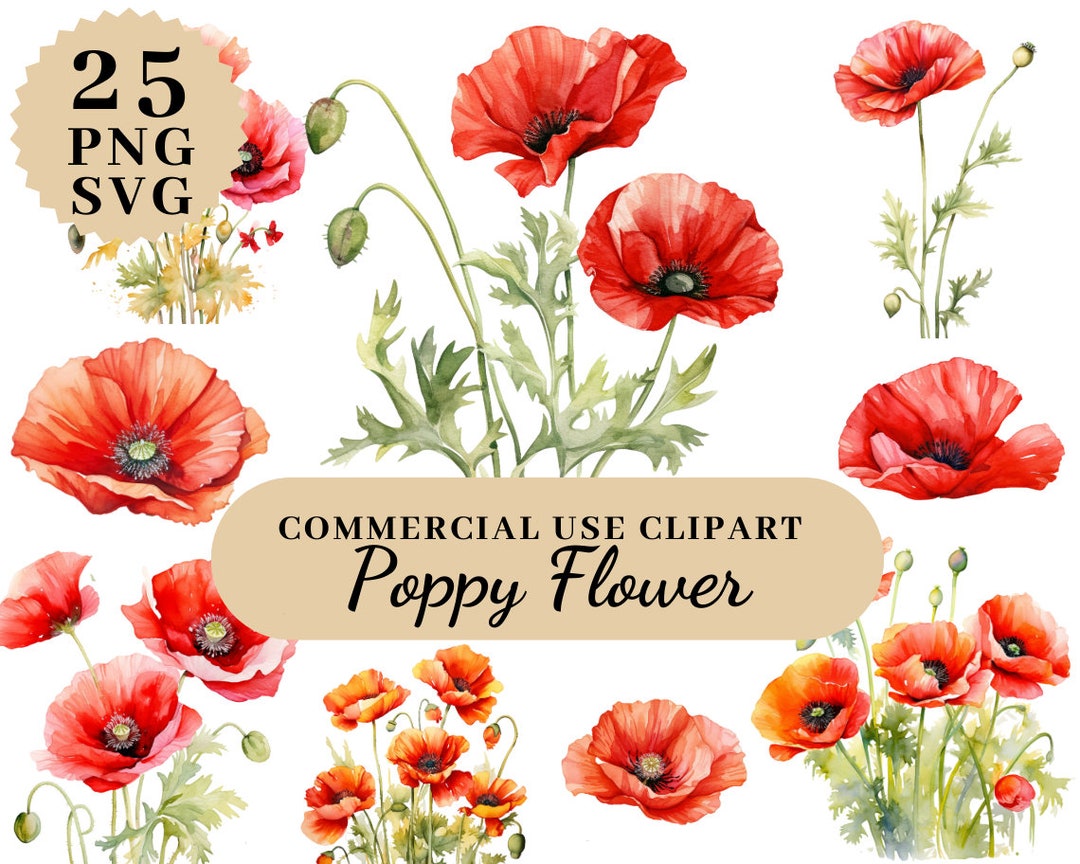25 Poppy Flower Clipart Bundl Watercolor Flower Bundle, Poppy Wreath  Clipart, Birthflower Clipart, Artful Art Clipart, Commercial Use - Etsy, image size:1080x864