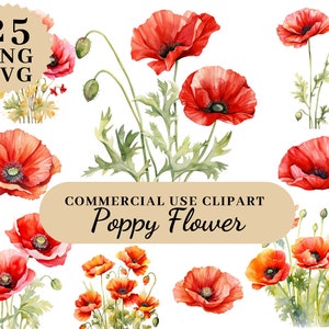 25 Poppy Flower Clipart Bundl Watercolor Flower Bundle, Poppy Wreath Clipart, Birthflower Clipart, Artful Art Clipart, Commercial Use