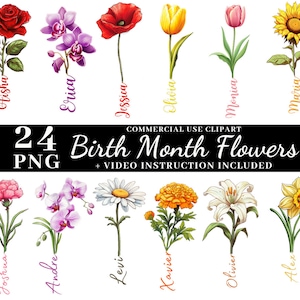 Geburt Blume Clipart Geburt Monat Blumen Clipart Set Rose Geburtsblumen Geburtsblume mit Namen Familie Blume Geburtsmonat Geburtsmonat Blumenring