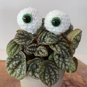 Tiny Crochet Plant Eyes: Whimsical Plant Decor