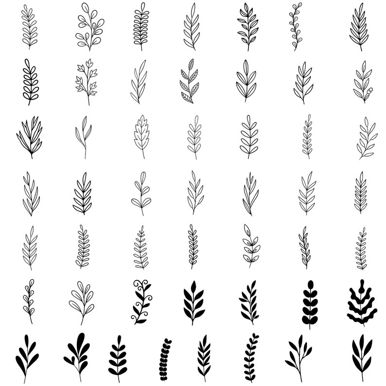 May include: A set of 48 black and white hand-drawn floral illustrations. The illustrations feature various types of leaves and branches.