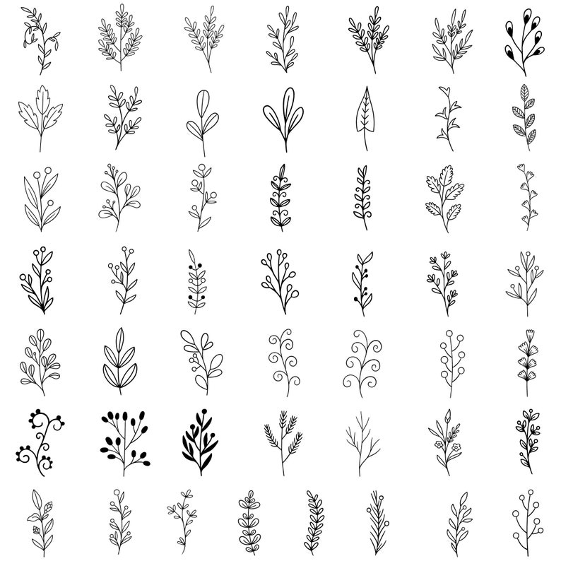 May include: A set of 48 black and white hand-drawn floral illustrations. The illustrations feature various types of leaves, branches, and flowers.