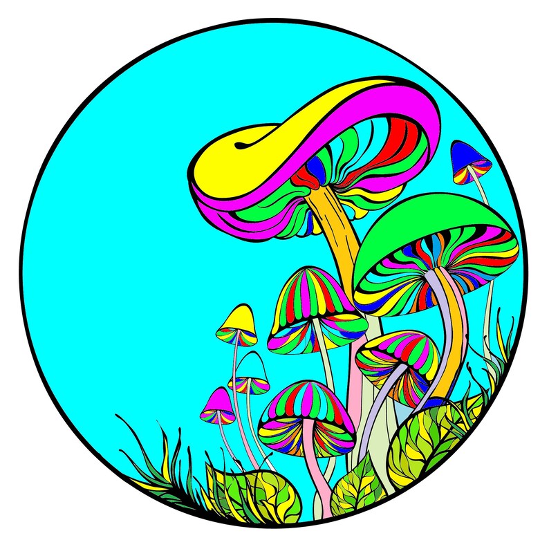 Op de afbeelding: Een kleurrijke illustratie van een groep paddenstoelen met een blauwe achtergrond. De paddenstoelen zijn allemaal van verschillende vormen en maten, en ze zijn versierd met strepen en stippen.
