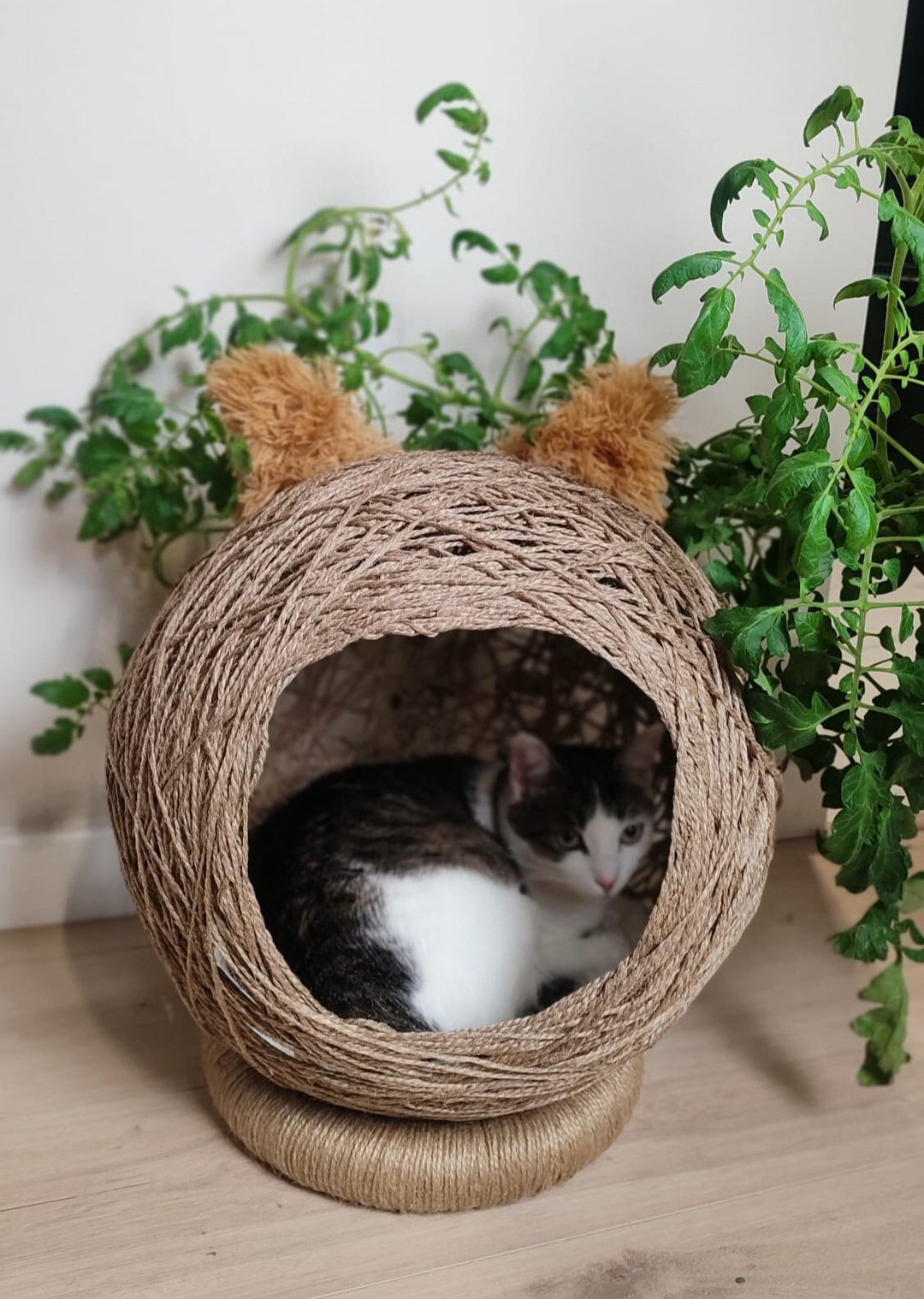 Cat Bed / Cat Bed With Cute Ears / Cat Nap Ball / Pet Bed / Cozy Cat