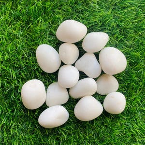 May include: A collection of smooth, white river stones. The stones are various sizes and shapes, and they are arranged on a bed of green grass.