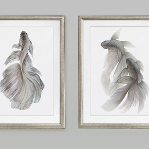 Könnte beinhalten: Ein Set mit zwei gerahmten Drucken, die Aquarell-Illustrationen von grauen und weißen Betta-Fischen zeigen. Die Fische sind mit fließenden Flossen und Schwänzen dargestellt, was ein zartes und elegantes Design ergibt.