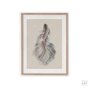 Könnte beinhalten: Ein gerahmter Druck eines Aquarells eines Kampffisches mit einem langen, fließenden Schwanz. Der Fisch ist hellgrau mit einem Hauch von Blau und Rosa. Der Hintergrund ist hellbeige.