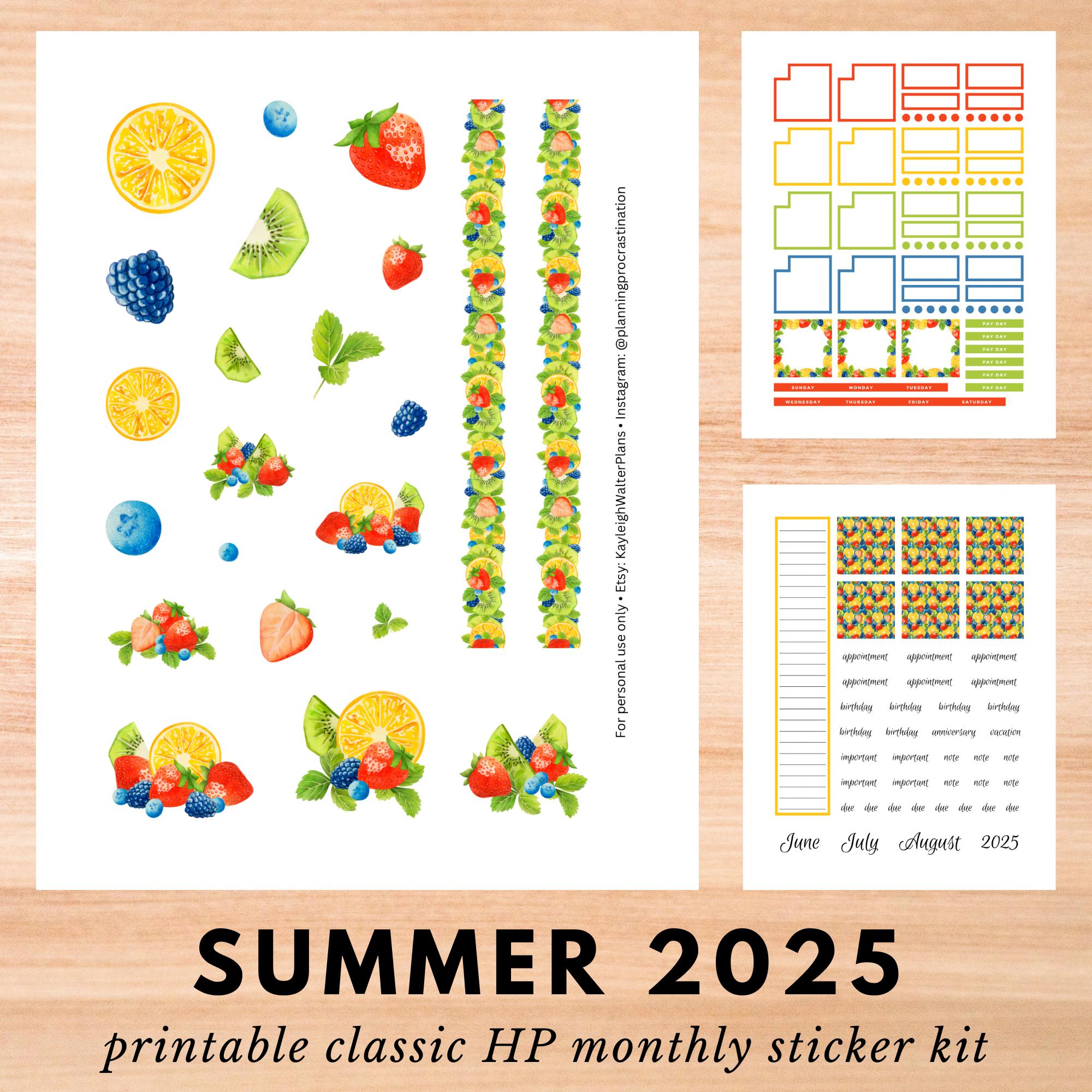 Printable planner stickers, monthly sticker kit for Happy Planner classic size, summer fruit digital planning stickers, PDF & PNG bundle