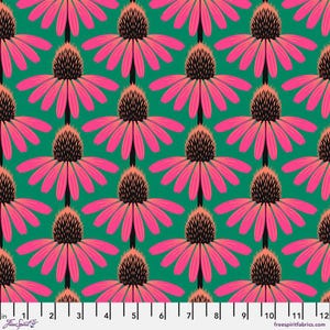Love Always LAWN: Echinacea in Sunset Love Always LAWN: Echinacea in Sunset
