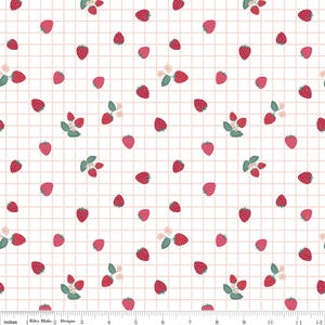 Gingham Berries in White - Berry Market by Beverly McCullough for Riley Blake Designs