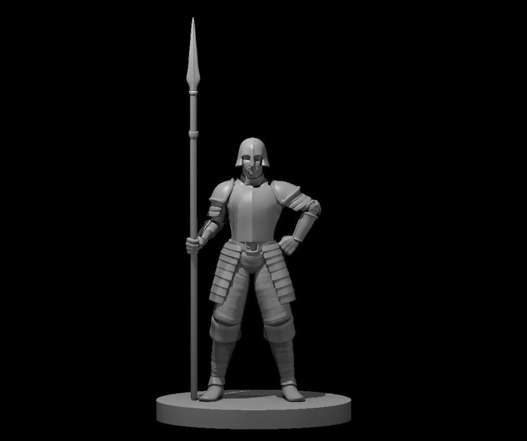 Guards NPC Tabletop RPG Mz4250 3D Printed Miniatures - Etsy