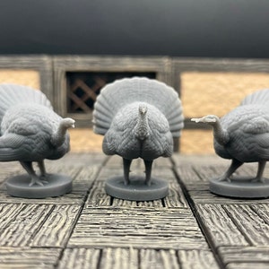 Pavos / Aves de Granja / Pavo Peligroso / RPG de mesa / mz4250 / Miniaturas impresas en 3D / escala de 28 mm