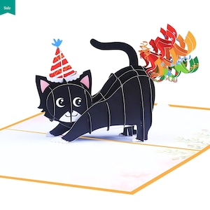 Birthday Card for Cat Lover. Funny Birthday Card. cat 3D. Crazy Cat Lady greeting cards. Funny Pop Up Card. Bday Card