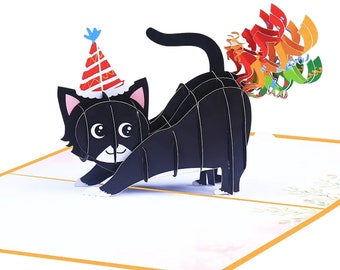 Födelsedagskort för kattälskare. Roligt födelsedagskort. Katt 3D. Galen kattdame gratulationskort. Roligt popup-kort. Födelsedagskort