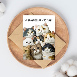 Birthday Card for Cat Lover. Funny Birthday Card. Crazy Cat Lady greeting cards. Bday Card. CAT02