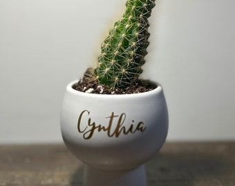Personalized Plant Cactus for Birthday, Anniversary, or Mother's Day, Gift for Any Occasion