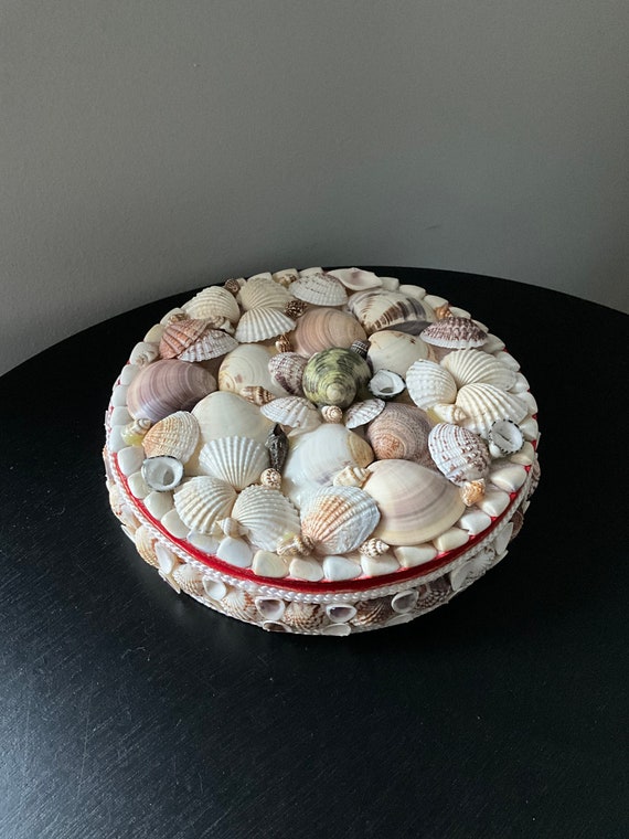 Shell 6” Round Trinket Box with Red Velvet lining - image 1